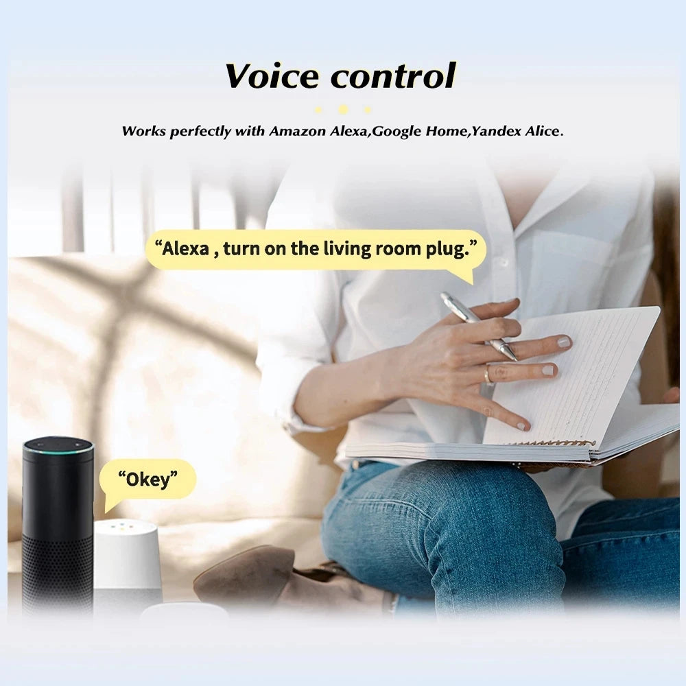 Smart Socket WiFi Plug for Alexa and Google